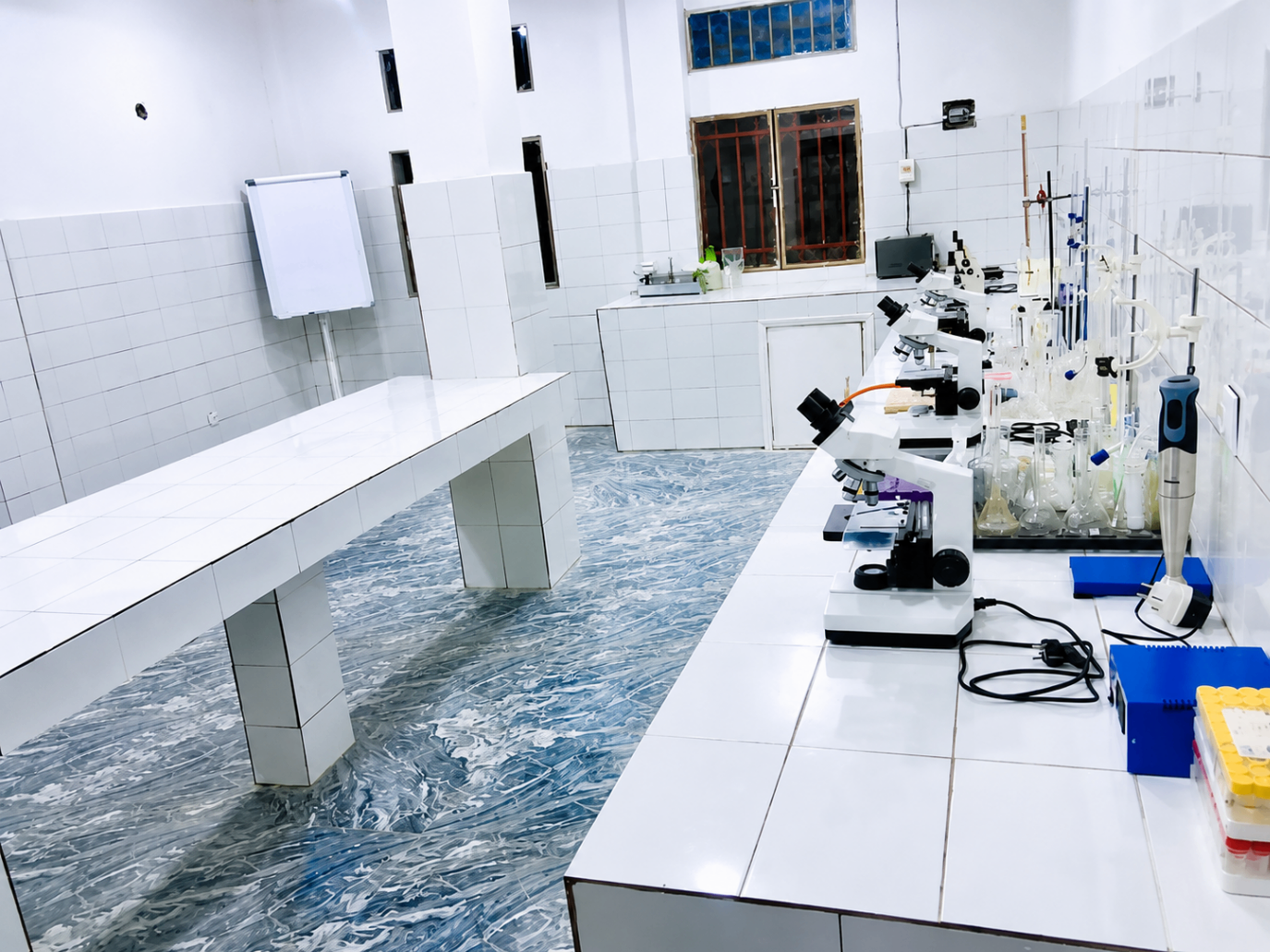 Vue d'ensemble du laboratoire de sciences avec microscopes alignés